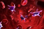 Giảm tiểu cầu do sốt xuất huyết: Ăn gì giúp tăng nhanh nhất?