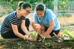 Làm vườn: liệu pháp cải thiện sức khỏe ngay tại nhà