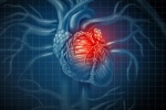Bệnh cơ tim giãn, nhịp tim nhanh điều trị như thế nào?