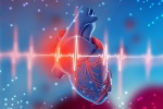Sống chung với suy tim: 4 giai đoạn bệnh bạn cần chú ý