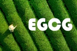 EGCG là gì và chúng có lợi gì cho sức khỏe?