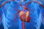 Hẹp hở van tim, suy tim dùng TPBVSK Ích Tâm Khang liều 6 viên được không?