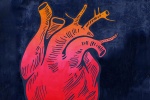 4 cách giảm nguy cơ biến chứng cho người bệnh suy tim 