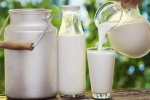 Sữa tươi nguyên chất có tốt cho sức khỏe?
