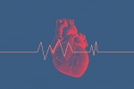 Nguyên nhân gây nhịp tim nhanh, nhịp tim chậm, đánh trống ngực