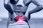 9 bài tập giãn cơ lưng, giảm đau lưng dưới hiệu quả