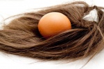 Cách làm đẹp da và tóc từ trứng gà