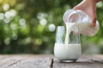 Người bệnh đái tháo đường uống sữa nào tốt nhất, nên kiêng thức ăn gì?
