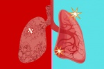 Chất lượng không khí kém: 6 cách đơn giản làm sạch, giải độc phổi