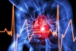 Bị ngoại tâm thu, tim bỏ nhịp có nguy hiểm không? 