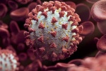 Mỹ phát hiện 2 biến chủng virus SARS-CoV-2 mới