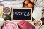 Dấu hiệu cho thấy cơ thể đang “đói” protein
