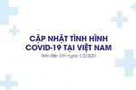 Tối 1/2, Việt Nam có thêm 31 ca mắc COVID-19