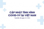 Tổng hợp COVID-19 ngày 11/2: 31 ca dương tính mới