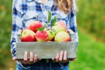3 loại quả, trái cây tốt cho người bệnh sỏi mật