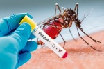 Cách nhận biết bệnh sốt xuất huyết và hướng điều trị đúng đắn