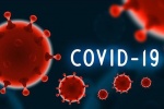 Cập nhật tình hình dịch COVID-19 tới 24/5: Đã lan đến 30 tỉnh, thành