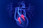 Các dạng bệnh van tim và triệu chứng cảnh báo