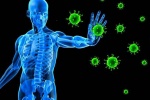 4 cách giúp hệ miễn dịch luôn khỏe mạnh 