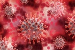 Những dấu hiệu nhận biết và đặc tính của biến chủng virus Delta