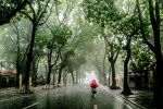 Dự báo thời tiết ngày mai 30/7: Bắc Bộ và Thanh Hóa có mưa rào và dông