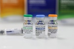 Hội đồng đạo đức: Chưa có dữ liệu đánh giá trực tiếp hiệu quả vaccine Nano Covax