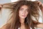7 “thủ phạm” khiến mái tóc bạn bị hư tổn