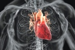 Thiếu máu cơ tim do hẹp mạch vành 30% điều trị thế nào?
