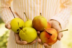 Những loại trái cây giúp kiểm soát dường huyết cho người bệnh đái tháo đường 