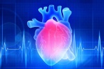 Nguyên nhân gây suy tim: Tăng huyết áp và các yếu tố cần chú ý 