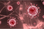 Thách thức từ những thay đổi của biến thể virus SARS-CoV-2