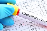 Những nguyên nhân gây ra tình trạng tăng cholesterol trong máu 