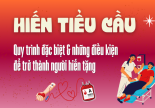 Hiến tiểu cầu: Quy trình đặc biệt và điều kiện để trở thành người hiến tặng