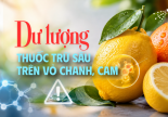 Nguy cơ từ dư lượng thuốc trừ sâu trên vỏ chanh, cam
