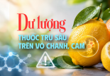 Nguy cơ từ dư lượng thuốc trừ sâu trên vỏ chanh, cam