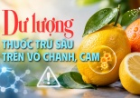 Nguy cơ từ dư lượng thuốc trừ sâu trên vỏ chanh, cam
