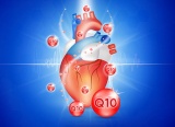 Bổ sung Co-enzyme Q10 có lợi với tim mạch ra sao?
