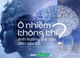 Ô nhiễm không khí ảnh hưởng thế nào đến não bộ?