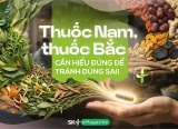 Thuốc Nam, thuốc Bắc: Cần hiểu đúng để tránh dùng sai!