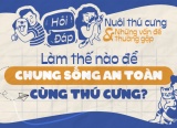 Làm thế nào để chung sống an toàn cùng thú cưng?