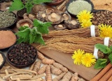 Thảo dược adaptogen hỗ trợ cơ thể ứng phó với căng thẳng