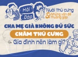 Cha mẹ già không đủ sức chăm thú cưng, gia đình nên làm gì?