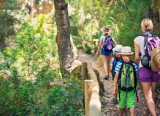 Khám phá 5 lợi ích vượt trội của bộ môn hiking 