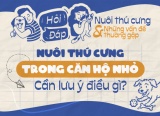 Nuôi thú cưng trong căn hộ nhỏ: Cần lưu ý điều gì?