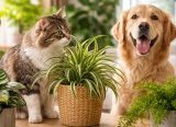 Cách chọn cây cảnh an toàn khi nhà có thú cưng
