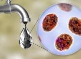 Biến đổi khí hậu và mối họa từ nguồn nước