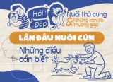 Những điều 'sen' cần biết khi lần đầu nuôi cún