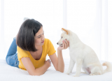 Trò chuyện với thú cưng có phải là một hành vi kỳ quặc?