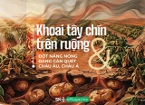 Khoai tây chín trên ruộng & Đợt nắng nóng đang càn quét Châu Âu, Châu Á