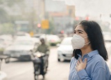 Ăn gì để bảo vệ cơ thể khỏi ô nhiễm không khí?